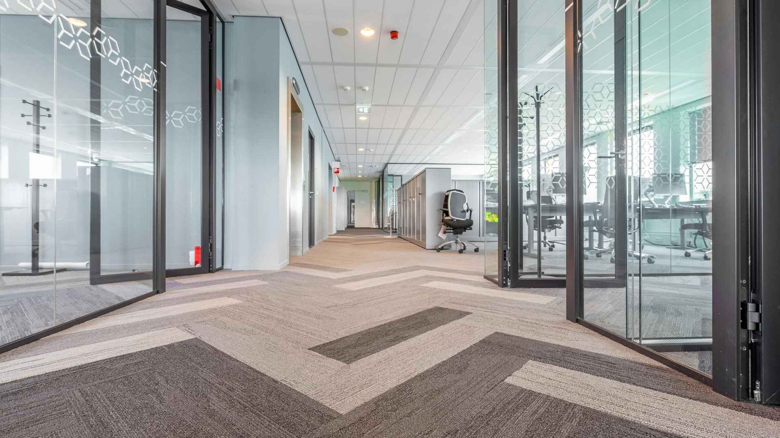 Professional office carpet cleaning services in Minneapolis by 5S Clean Up